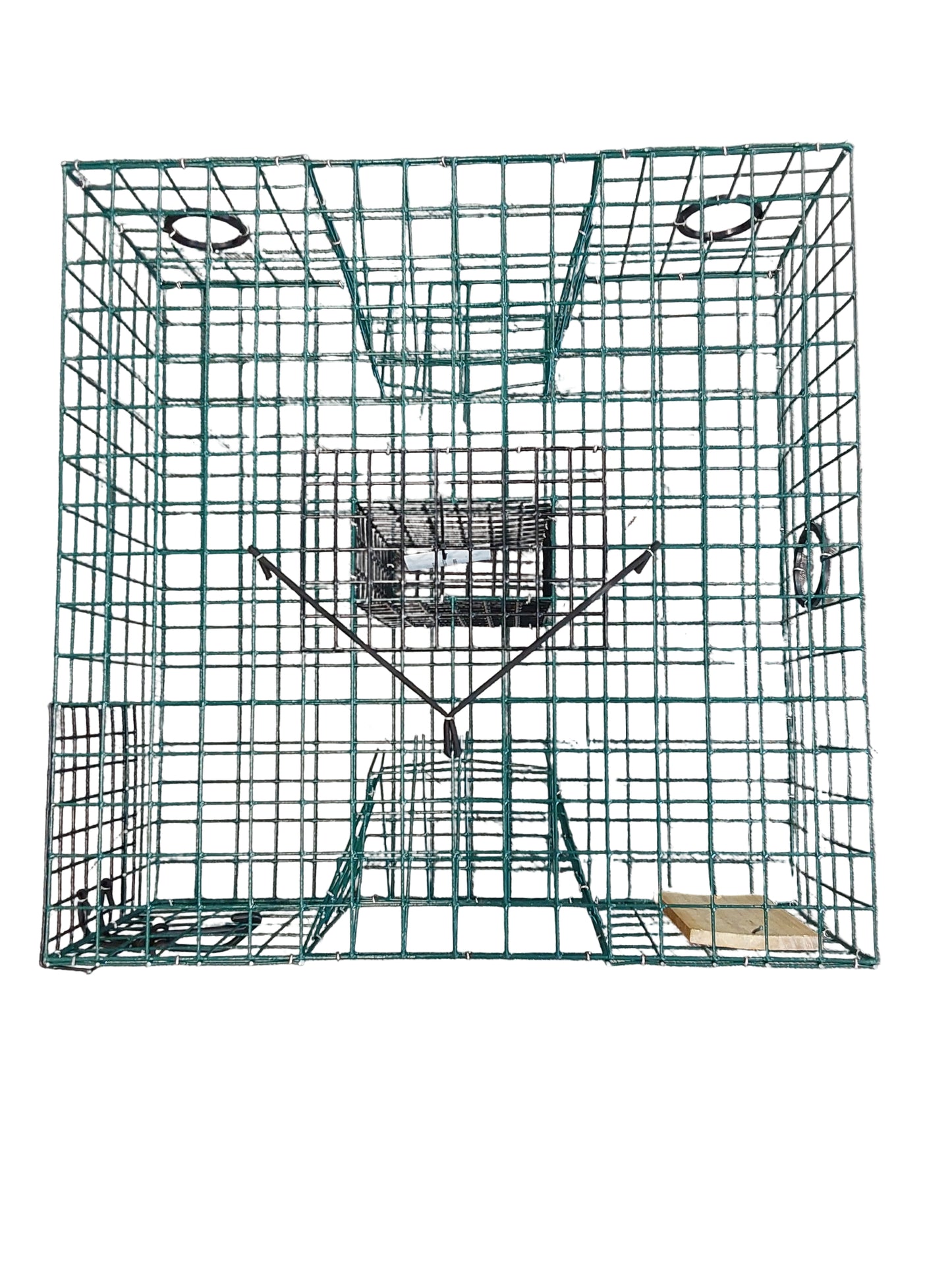 Blue Crab Trap - Dogfish Tackle & Marine