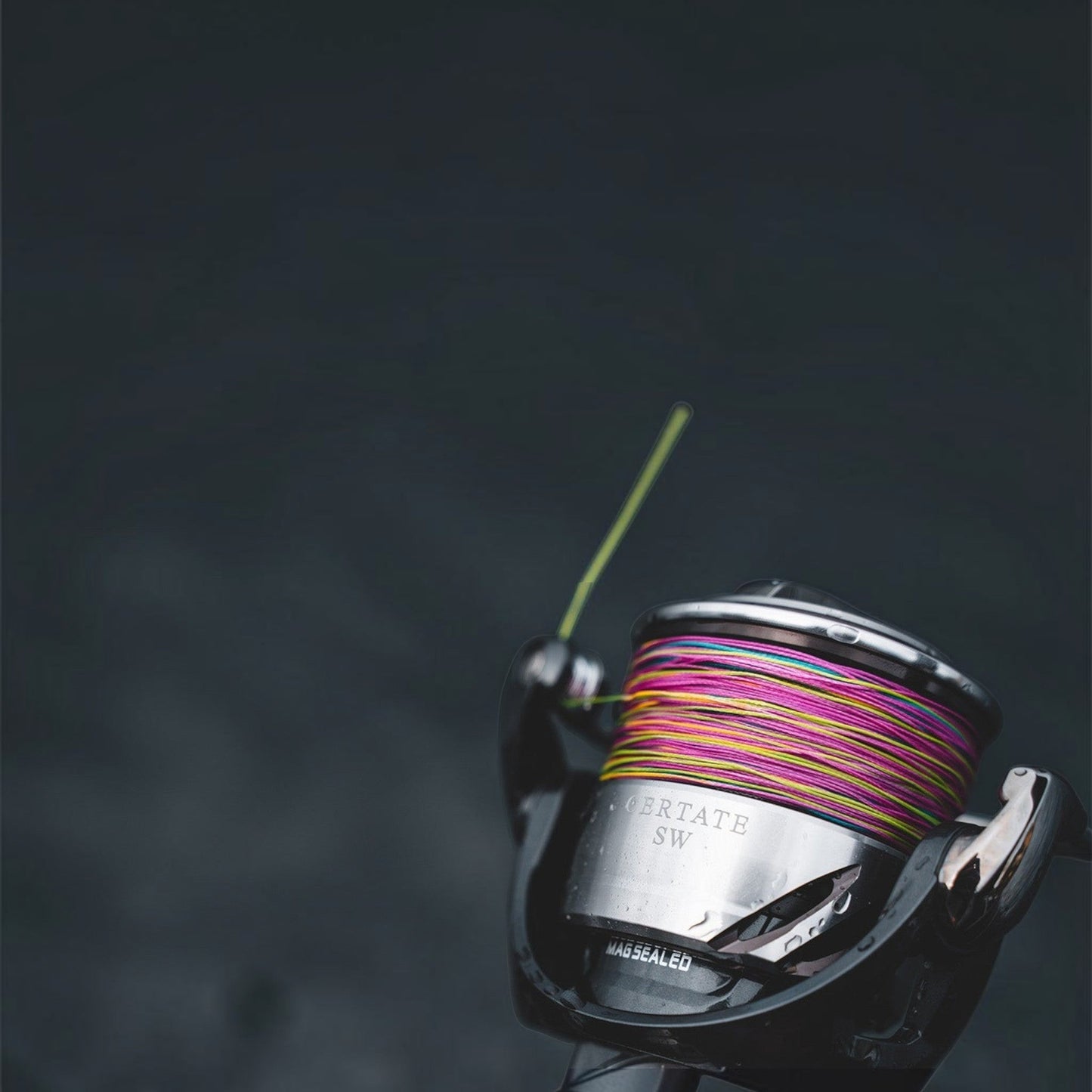 Daiwa 2026 Cerate SW Spinning Reels - Dogfish Tackle & Marine