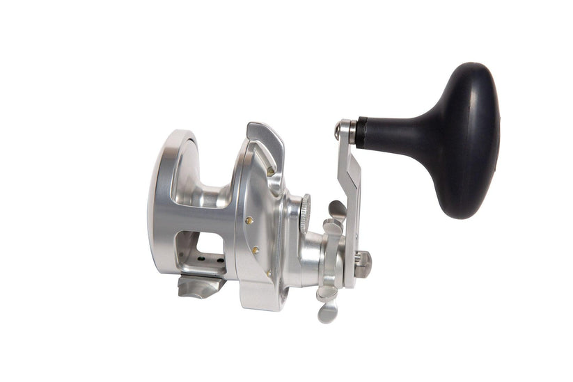 Accurate Tern 2 Conventional Star Drag - Dogfish Tackle & Marine