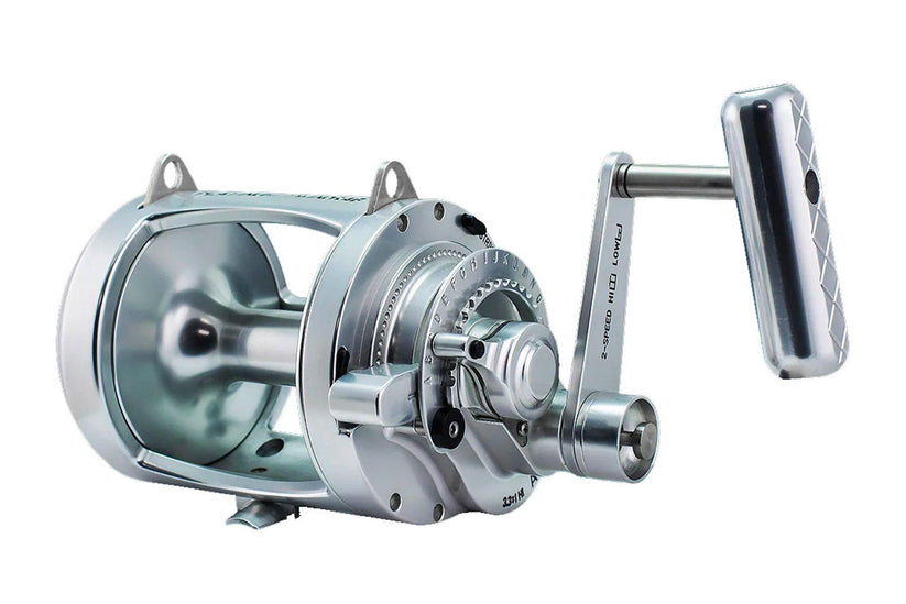 Accurate ATD Platinum Twin Drag Conventional Reels - Dogfish Tackle & Marine