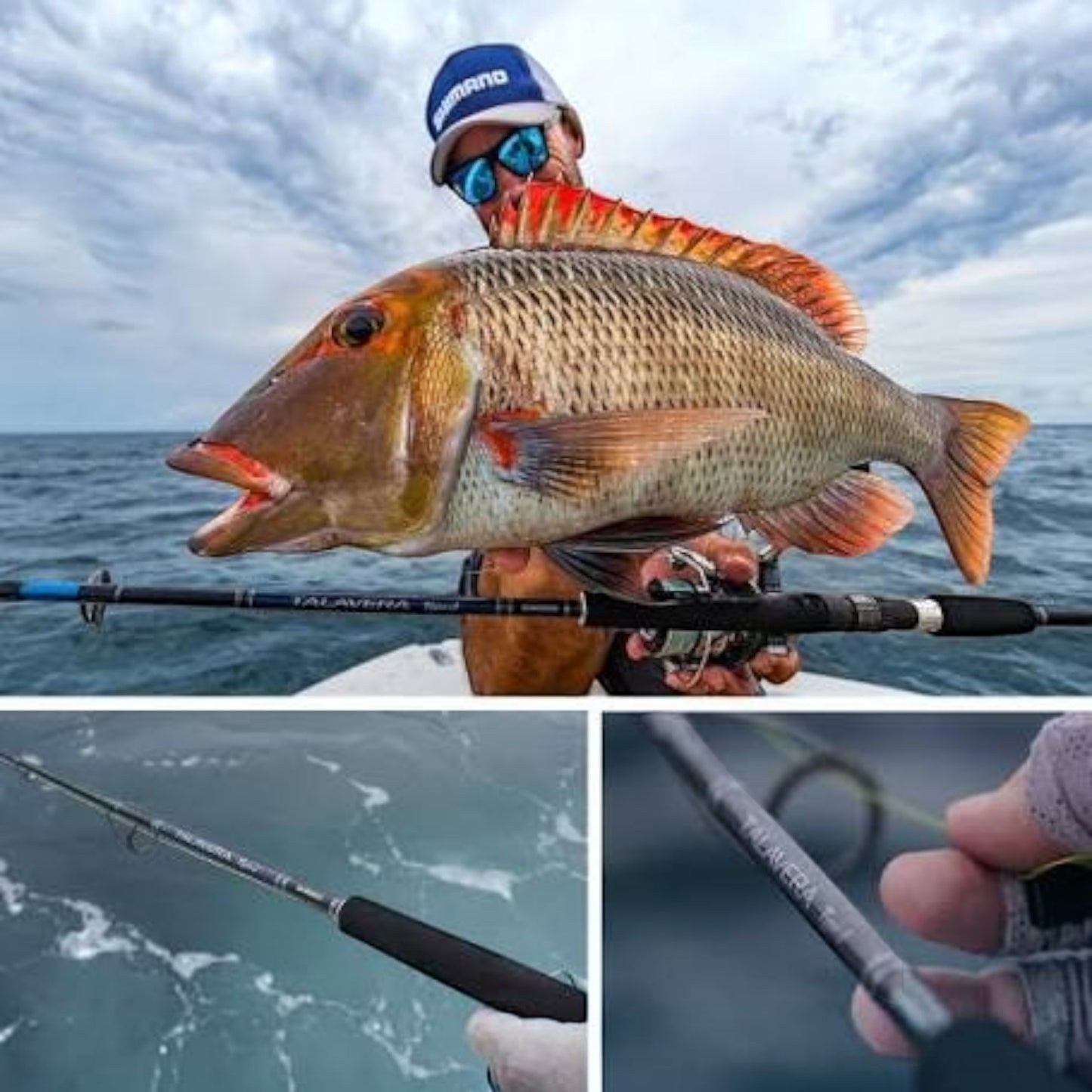 Dogfish Tackle & Marine Shimano Talavera Type J jigging rod with black EVA split grip and blue accents - dogfish tackle & marine