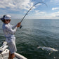 Tsunami Shield II Spinning Reel - Dogfish Tackle & Marine