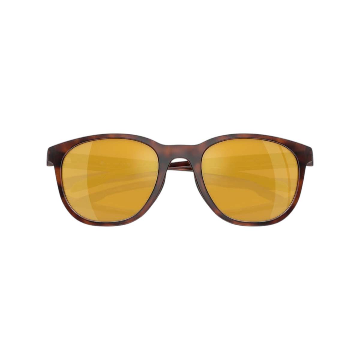 Dogfish Tackle & Marine Native Eyewear Targhee sunglasses with round tortoiseshell frames and amber polarized lenses.