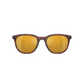 Dogfish Tackle & Marine Native Eyewear Targhee sunglasses featuring a round tortoise frame and amber polarized lenses.