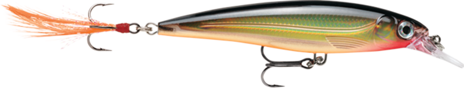 RAPALA X-RAP XR08 - Dogfish Tackle & Marine
