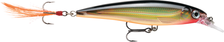 RAPALA X-RAP XR10 - Dogfish Tackle & Marine