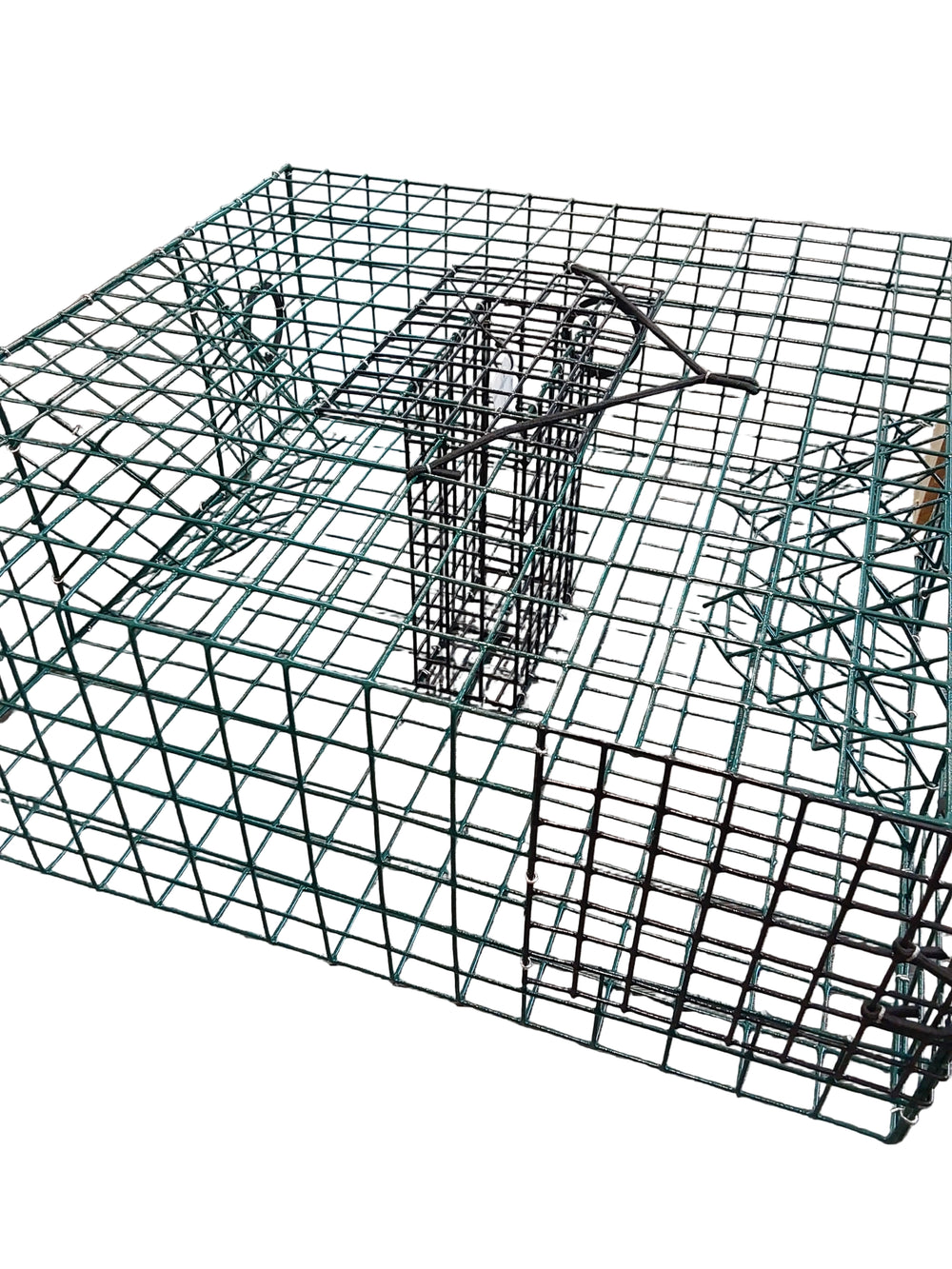 Blue Crab Trap (In-store pickup only)