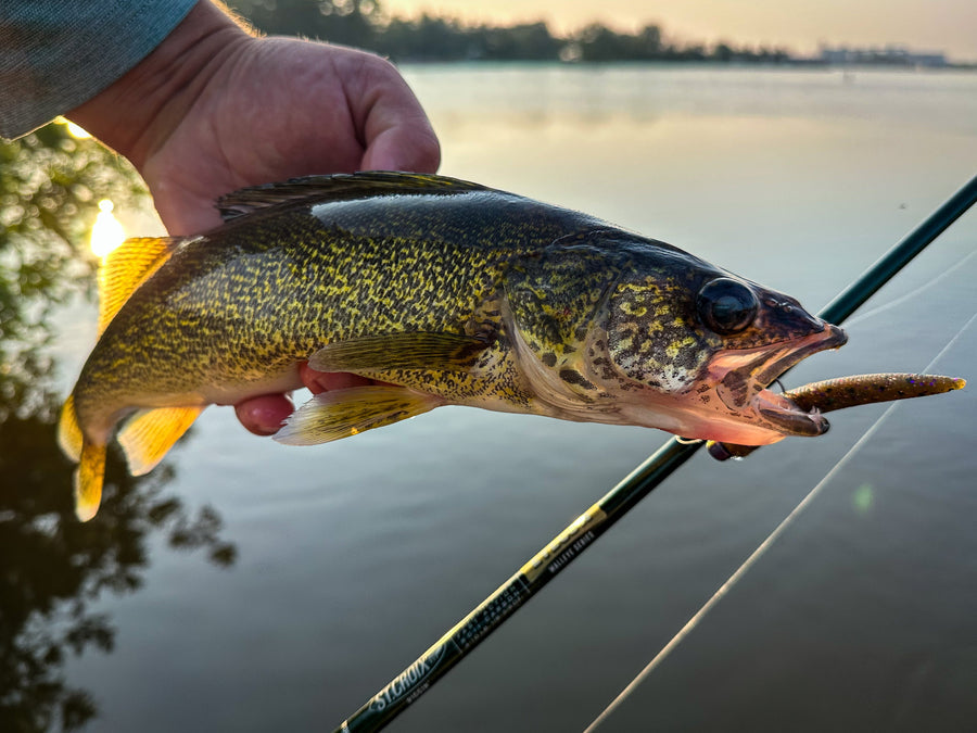 St. Croix Eyecon Spinning Rods