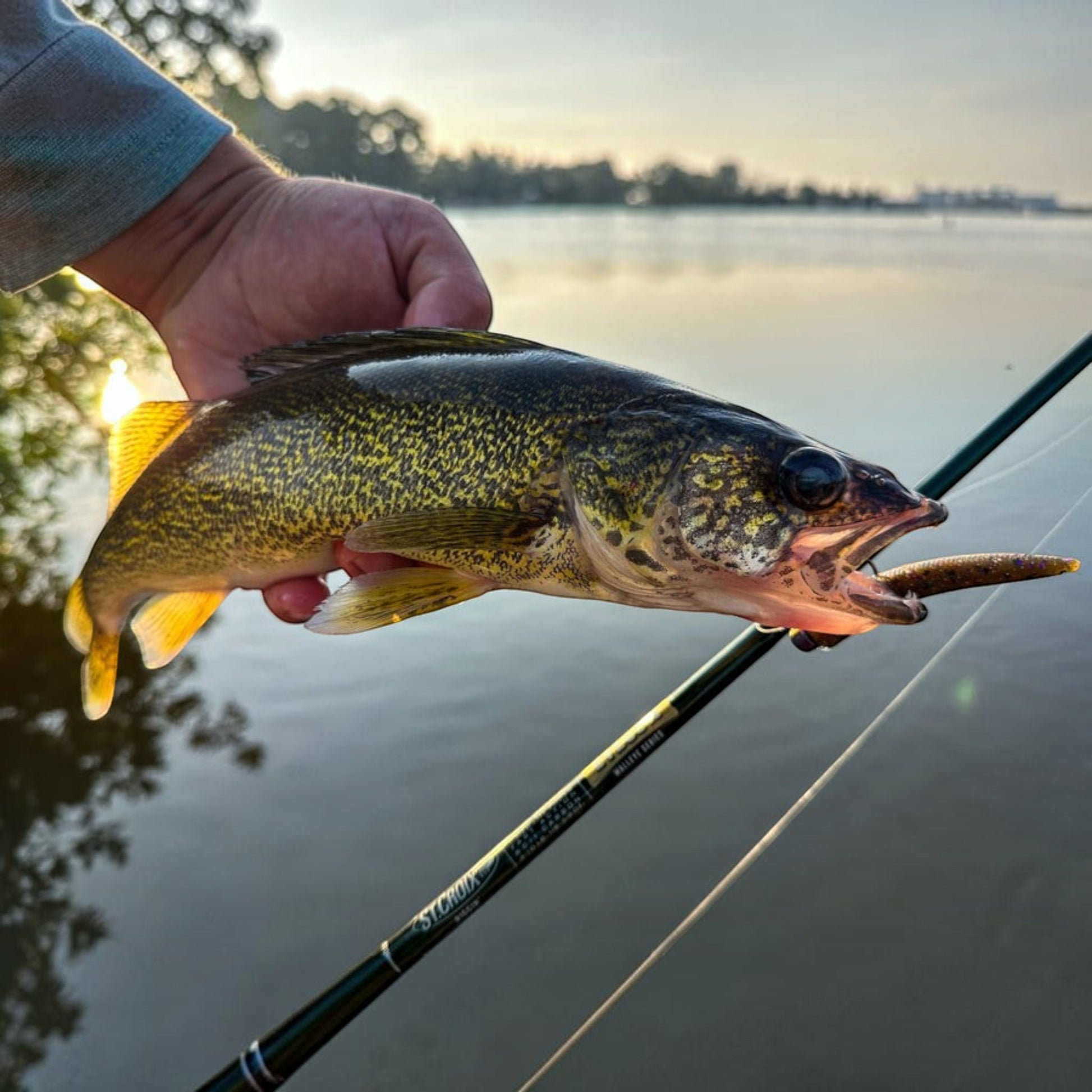 St. Croix Eyecon Spinning Rods - Dogfish Tackle & Marine