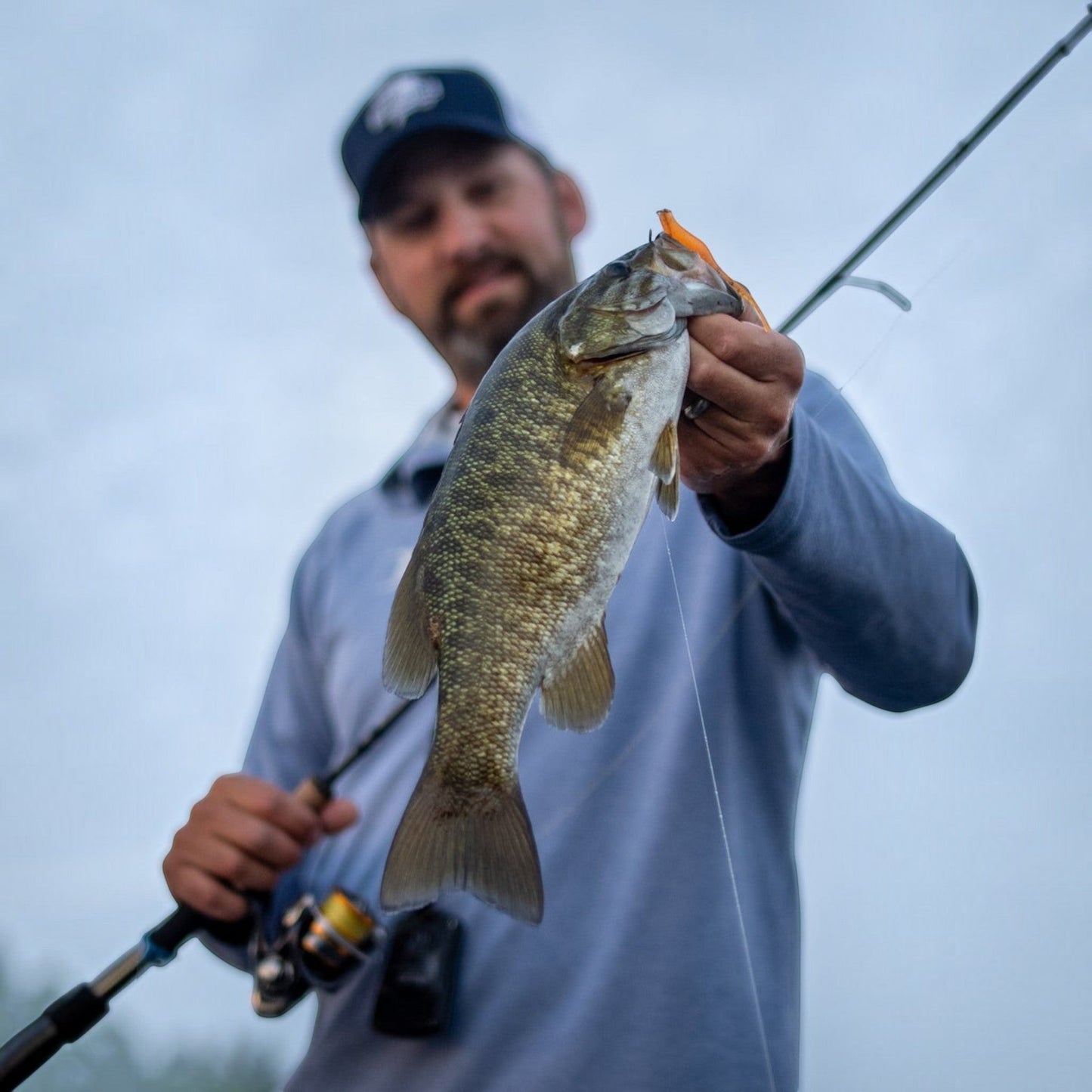 St. Croix Avid Spinning Rods - Dogfish Tackle & Marine