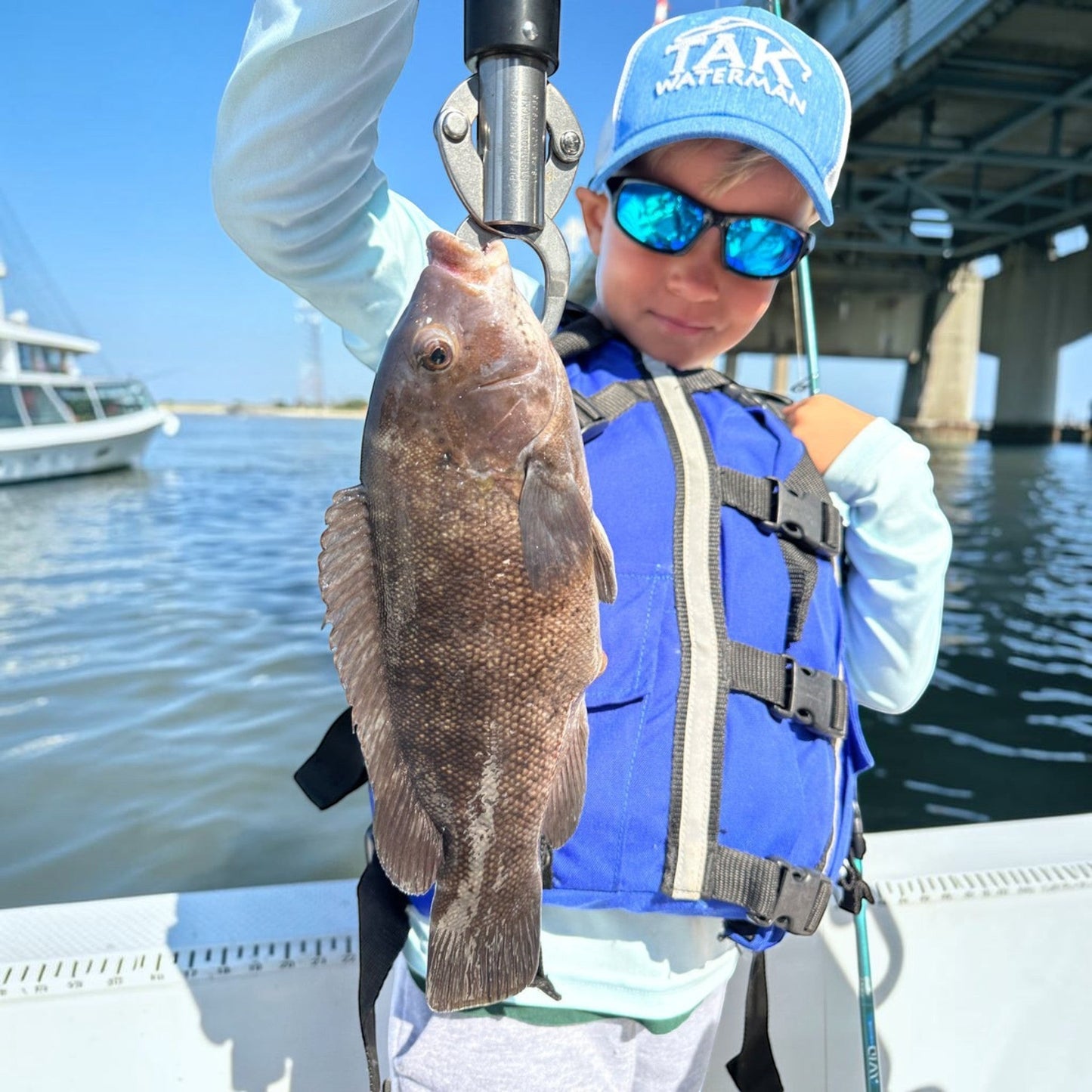 St.croix Avid Inshore Series Casting Rod - Dogfish Tackle & Marine