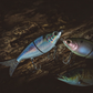 6th Sense Flow Glider 130 Glide Bait - Dogfish Tackle & Marine