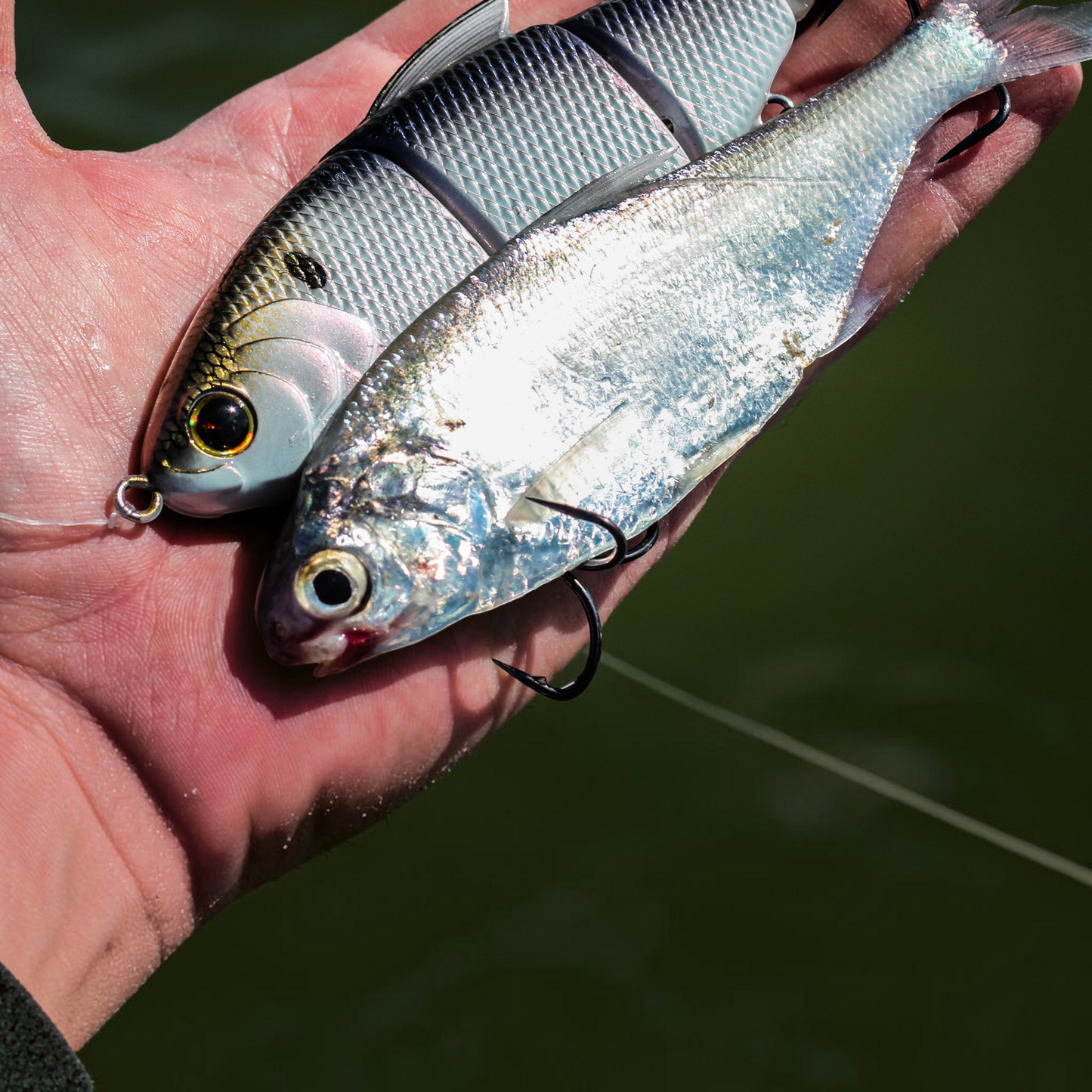 6th Sense Trace 3.75in Multi Jointed Swimbaits - Dogfish Tackle & Marine