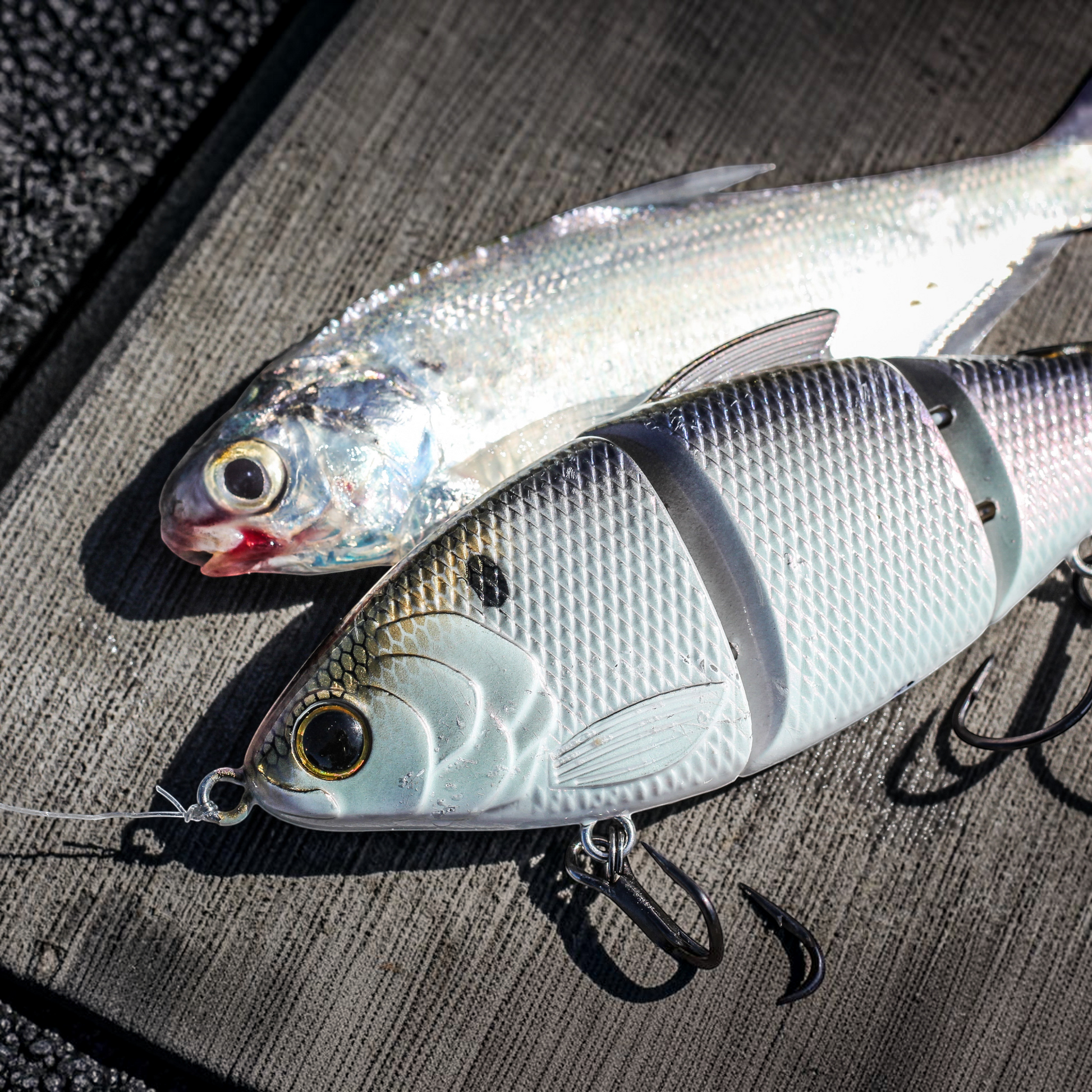6th Sense Trace 3.75in Multi Jointed Swimbaits - Dogfish Tackle & Marine