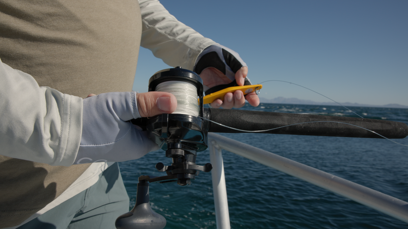 Accurate Ascender SPJ Star Drag Conventional Reel - Dogfish Tackle & Marine