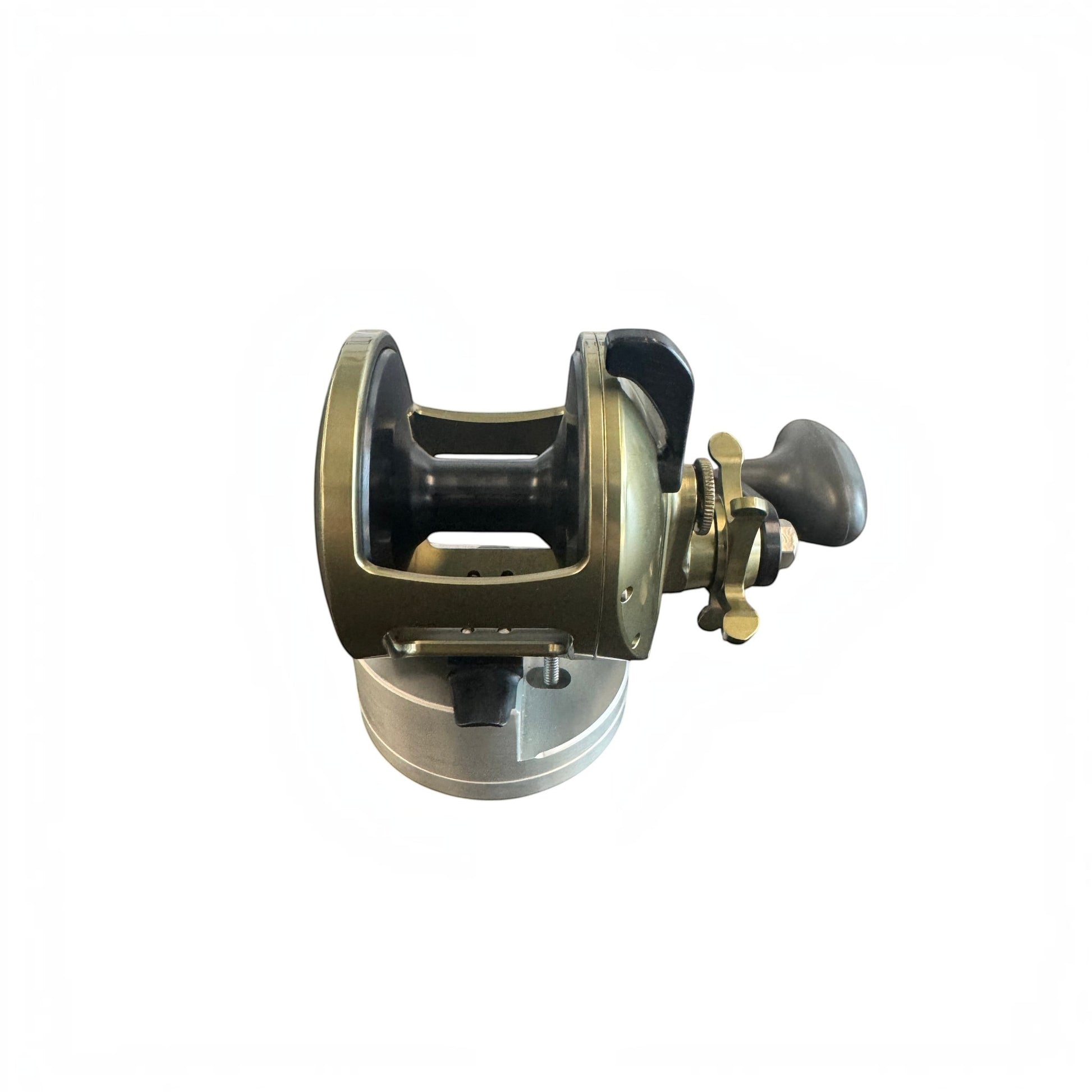Accurate Tern2 Custom Color Star Drag Conventional Reel - Dogfish Tackle & Marine