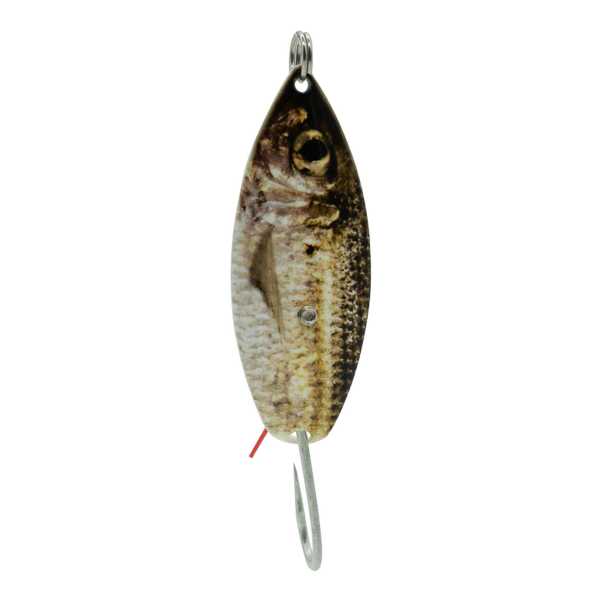 Aqua Dream ADL Weedless Spoons - Dogfish Tackle & Marine