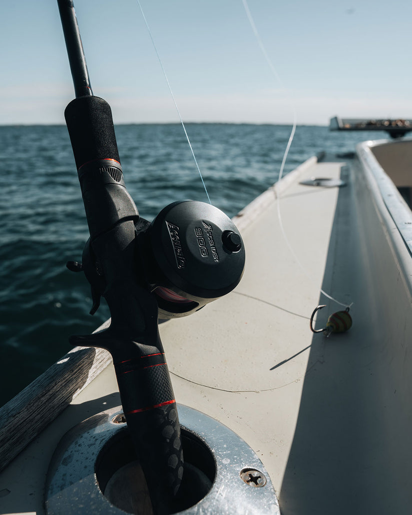 Accurate Ascender Star Drag Conventional Reel