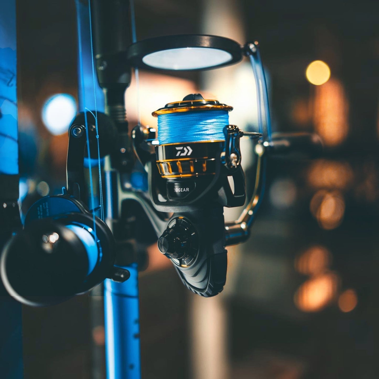 Daiwa BG Spinning Reels - Dogfish Tackle & Marine