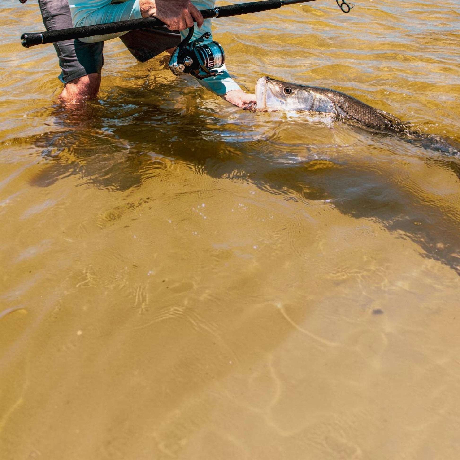 Daiwa BG MQ - Dogfish Tackle & Marine