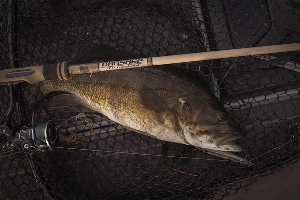 Bull Bay Banshee Spinning Rods