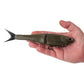 Berkley Powerbait Nessie Glide Bait - Dogfish Tackle & Marine