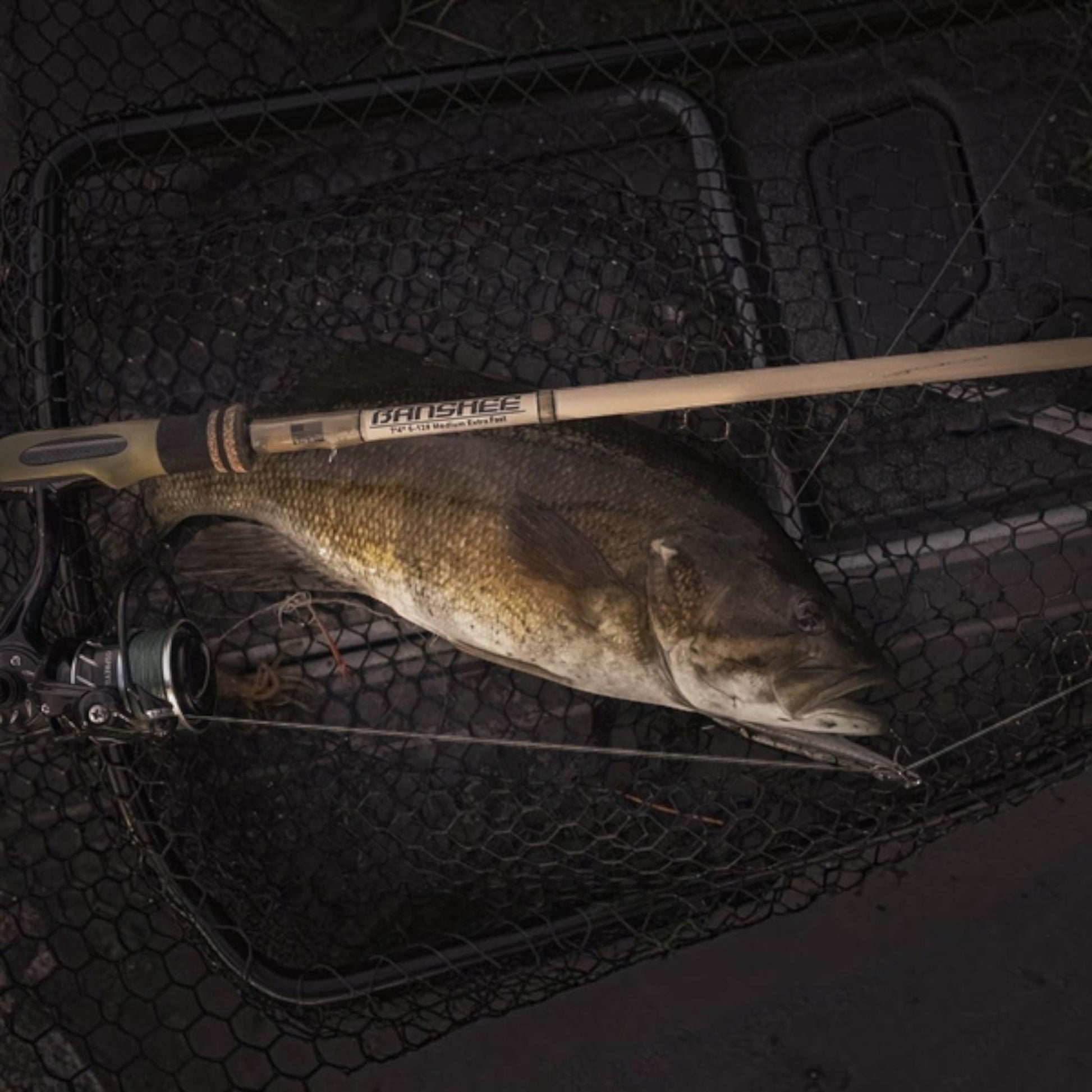 Bull Bay Banshee Spinning Rod - Dogfish Tackle & Marine