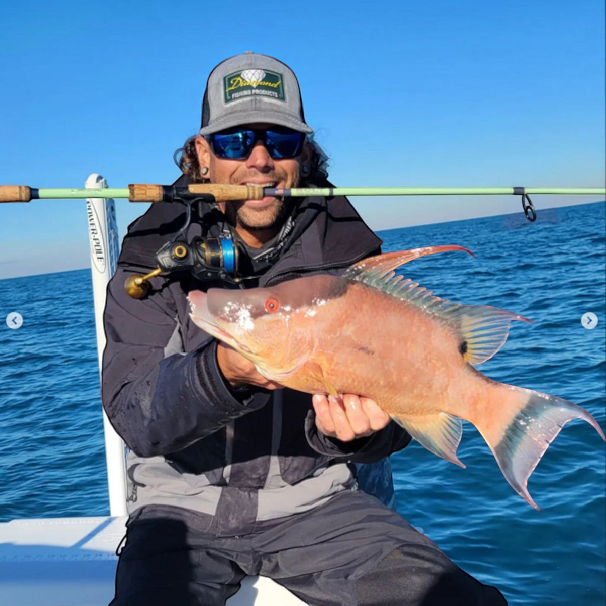 Bull Bay Bolt Spinning Rod - Dogfish Tackle & Marine
