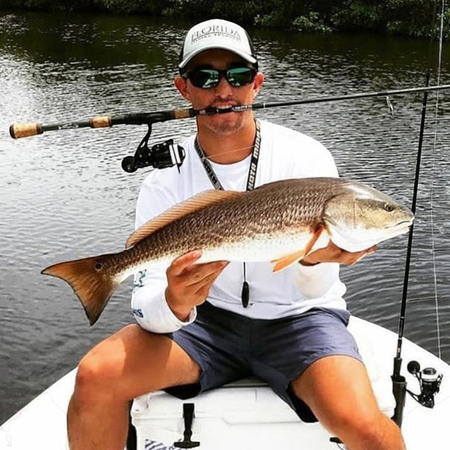 Bull Bay Sniper Spinning Rod - Dogfish Tackle & Marine