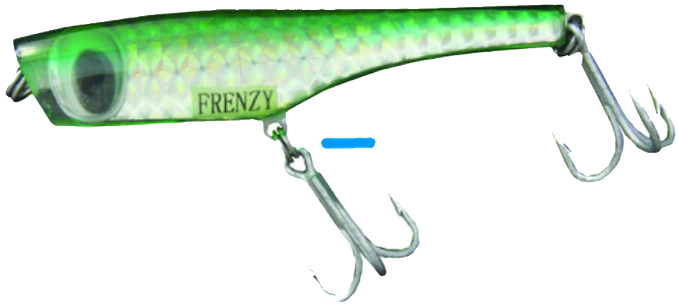 Frenzy Angry Popper - Dogfish Tackle & Marine