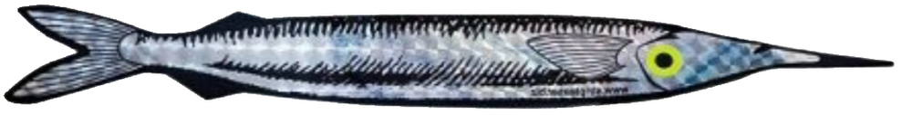 Blue Water Candy Stripteaser Strip