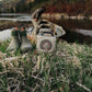 Turtle Box Cub Waterproof Portable Speaker