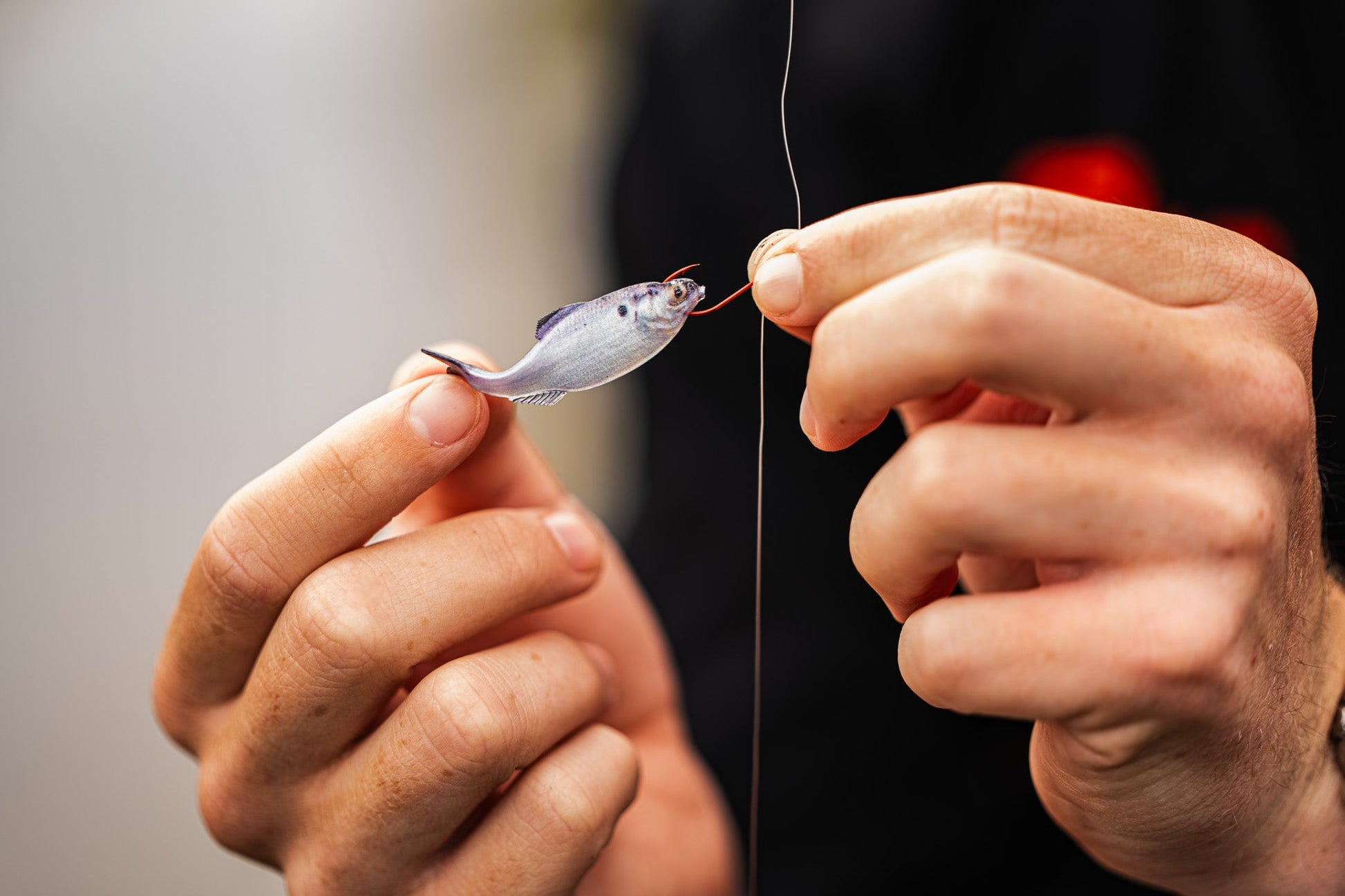 6th Sense Panorama Swimbait Unrigged Series - Dogfish Tackle & Marine