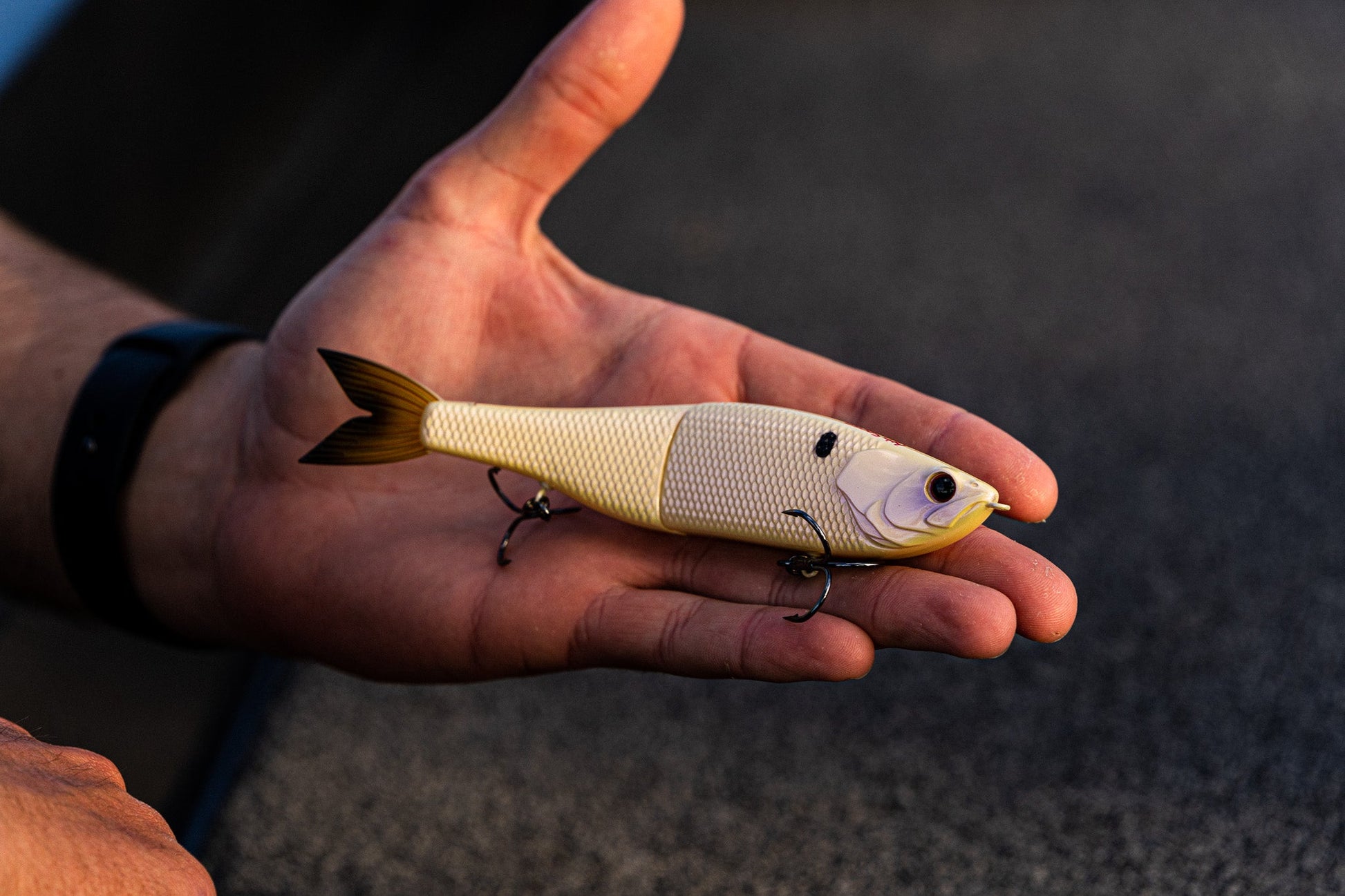 6th Sense The Draw 6.5 Glide Bait - Dogfish Tackle & Marine