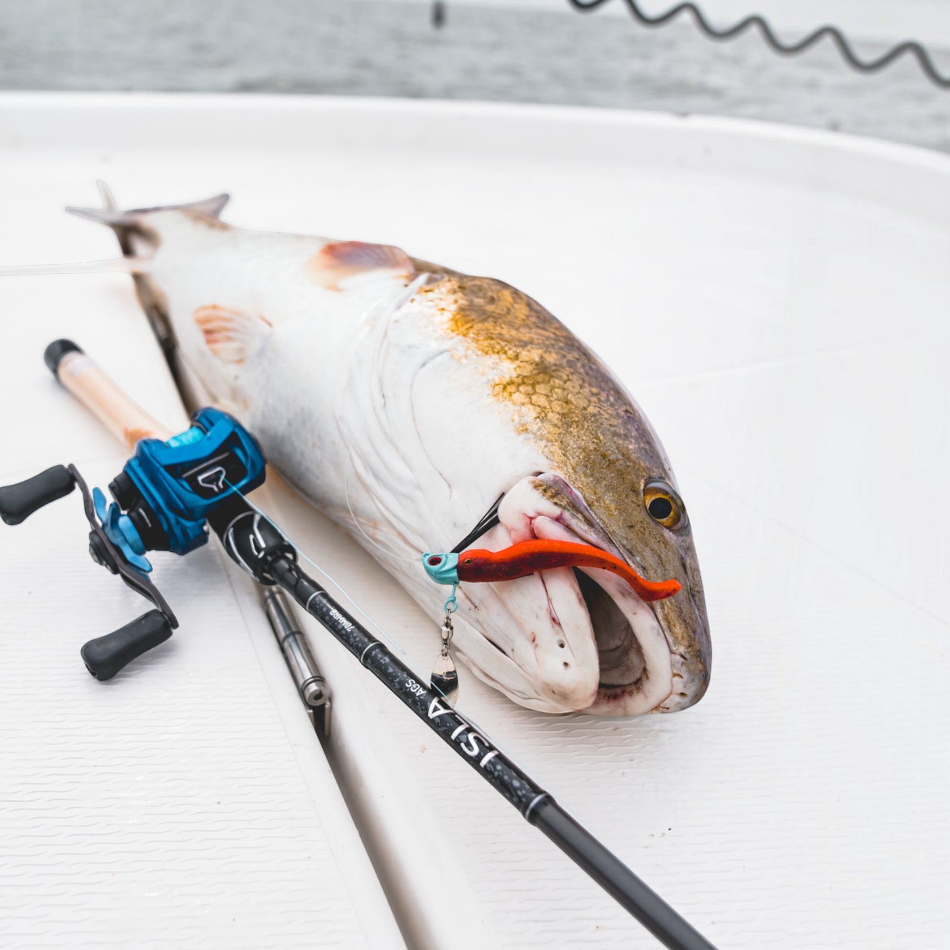 DAIWA ILSA AGS INSHORE RODS - Dogfish Tackle & Marine
