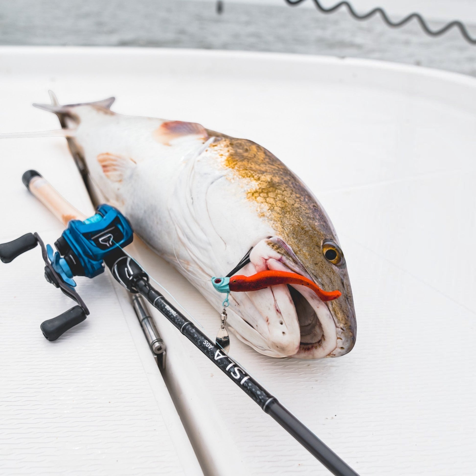 DAIWA ILSA AGS INSHORE RODS - Dogfish Tackle & Marine