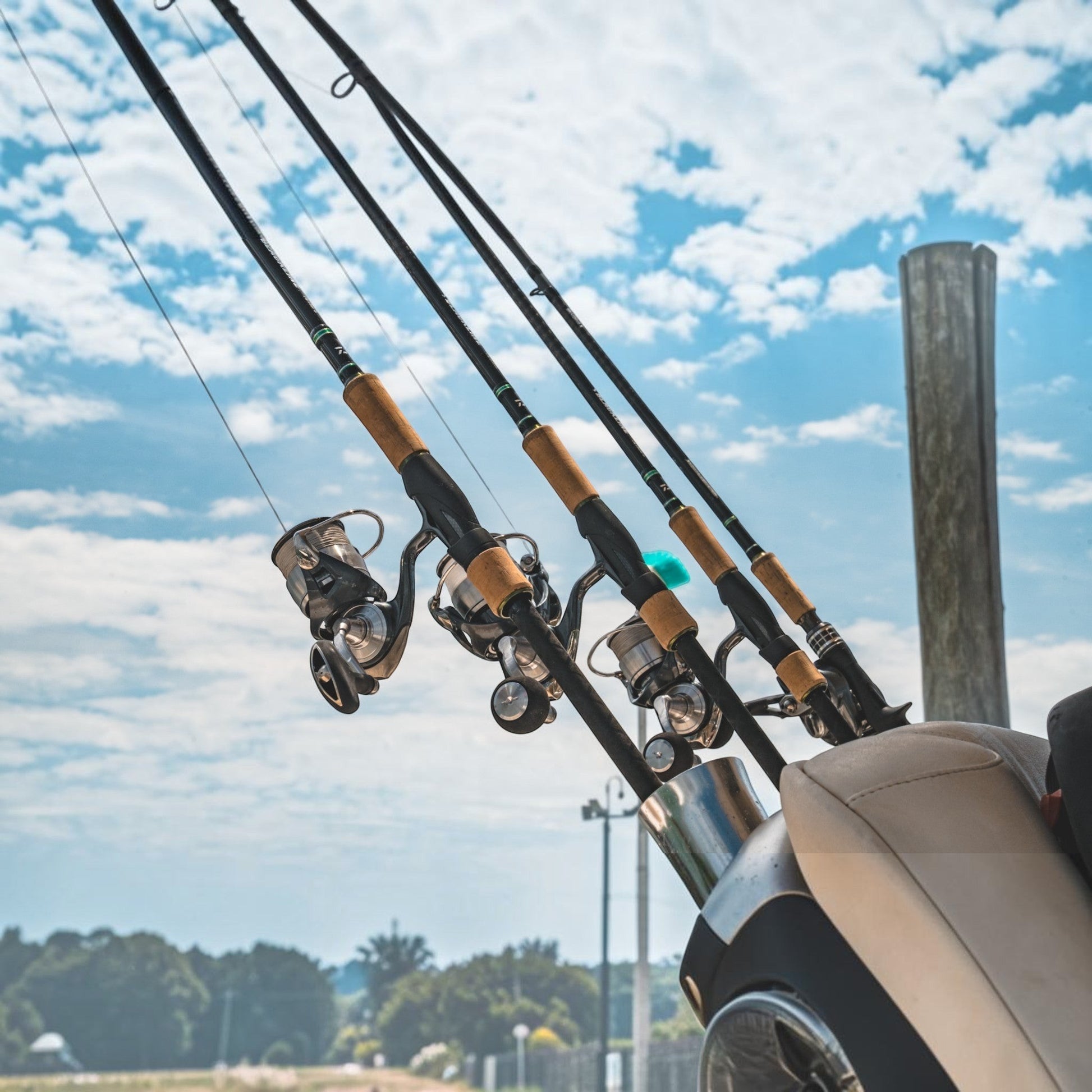Daiwa Blackline Inshore Spinning Rod - Dogfish Tackle & Marine