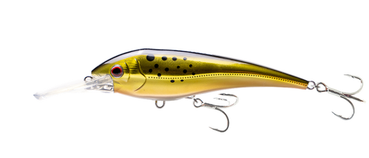 Nomad DTX Minnow 145 Shallow FLT 5 - 3/4" - Dogfish Tackle & Marine