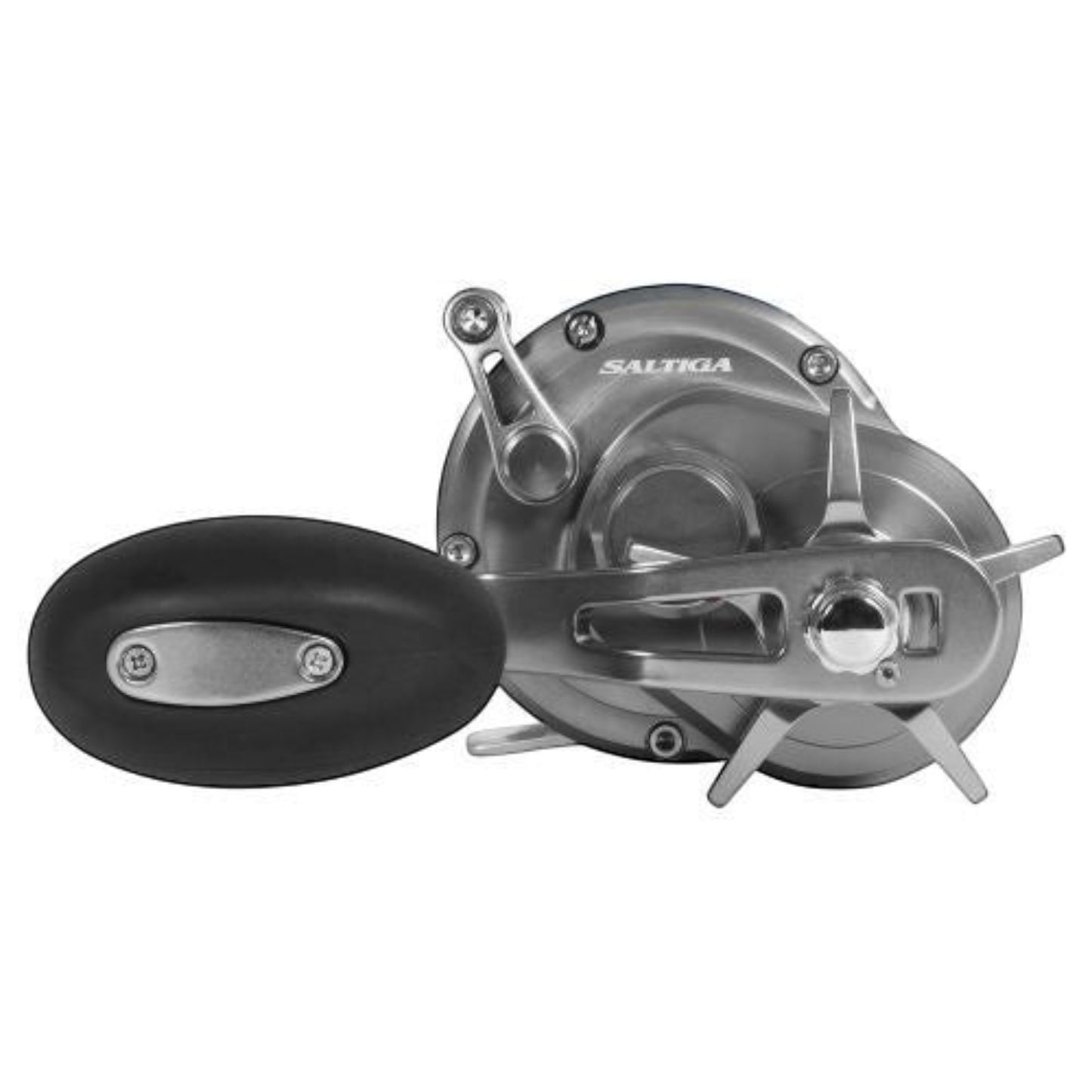 Daiwa Saltiga Star Drag Conventional Reels - Dogfish Tackle & Marine
