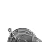 Daiwa Saltiga Star Drag Conventional Reels - Dogfish Tackle & Marine