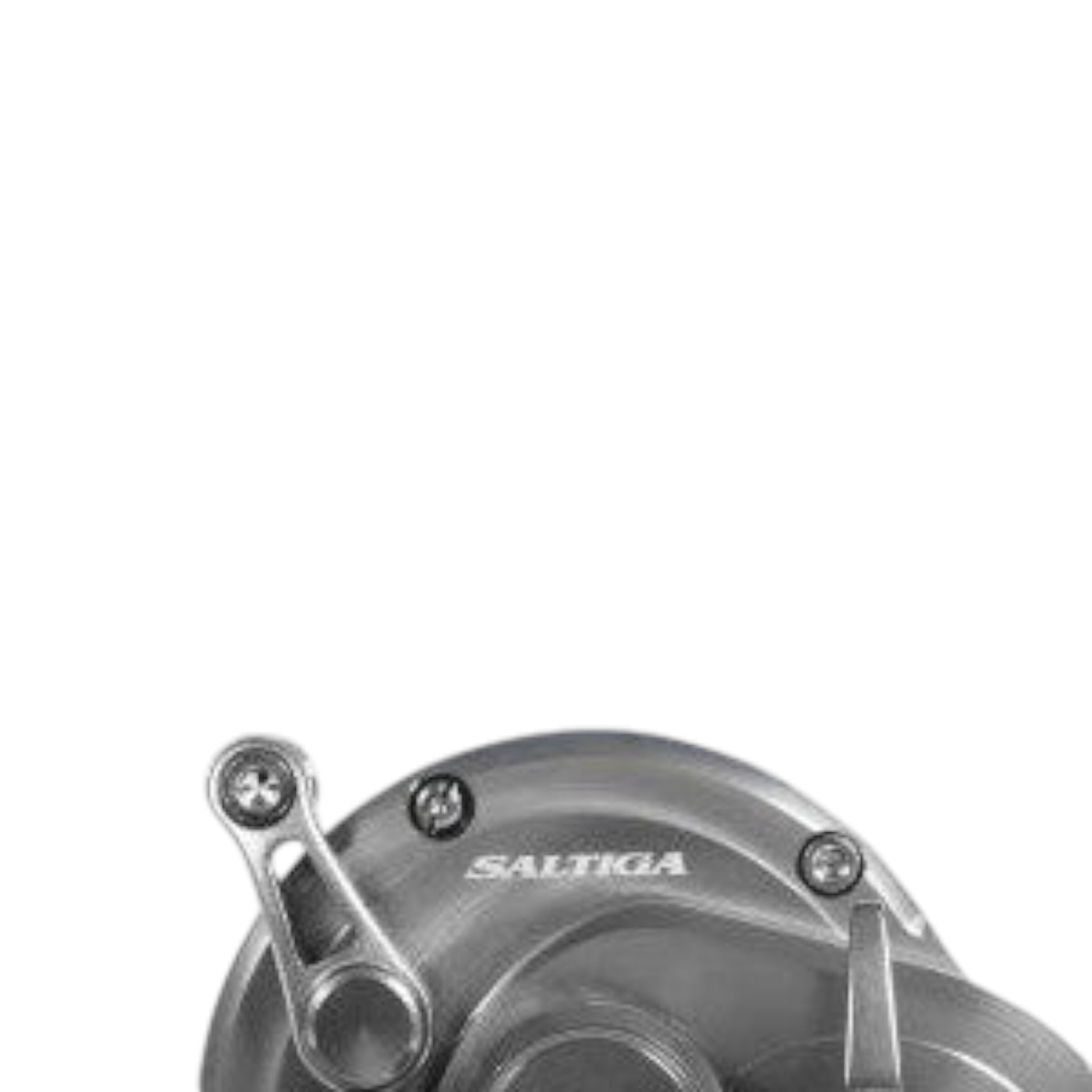 Daiwa Saltiga Star Drag Conventional Reels - Dogfish Tackle & Marine