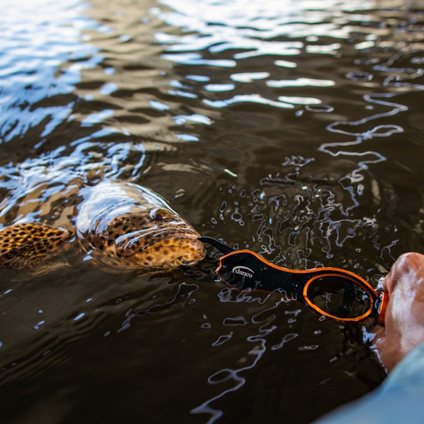 Dogfish Tackle & Marine Danco Lunar-1 lip gripper holding a spotted fish in the water with an integrated scale
