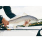 Fenwick Elite Inshore Spinning Rod - Dogfish Tackle & Marine