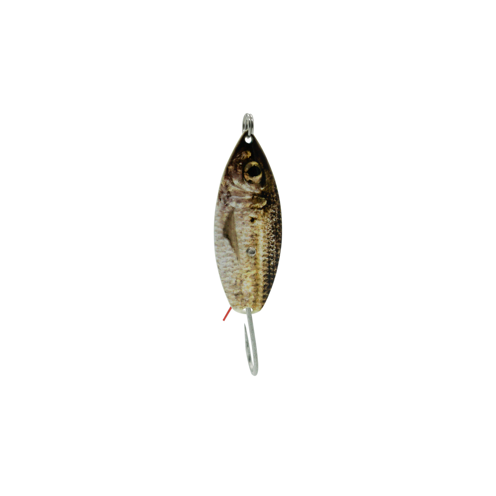 aqua spoon fishing lure minneapolis mn Moonshine Magnum Trolling to choice for targeting walleye in a variety of conditions Aqua Dream Weedless Spoon 1/4oz.