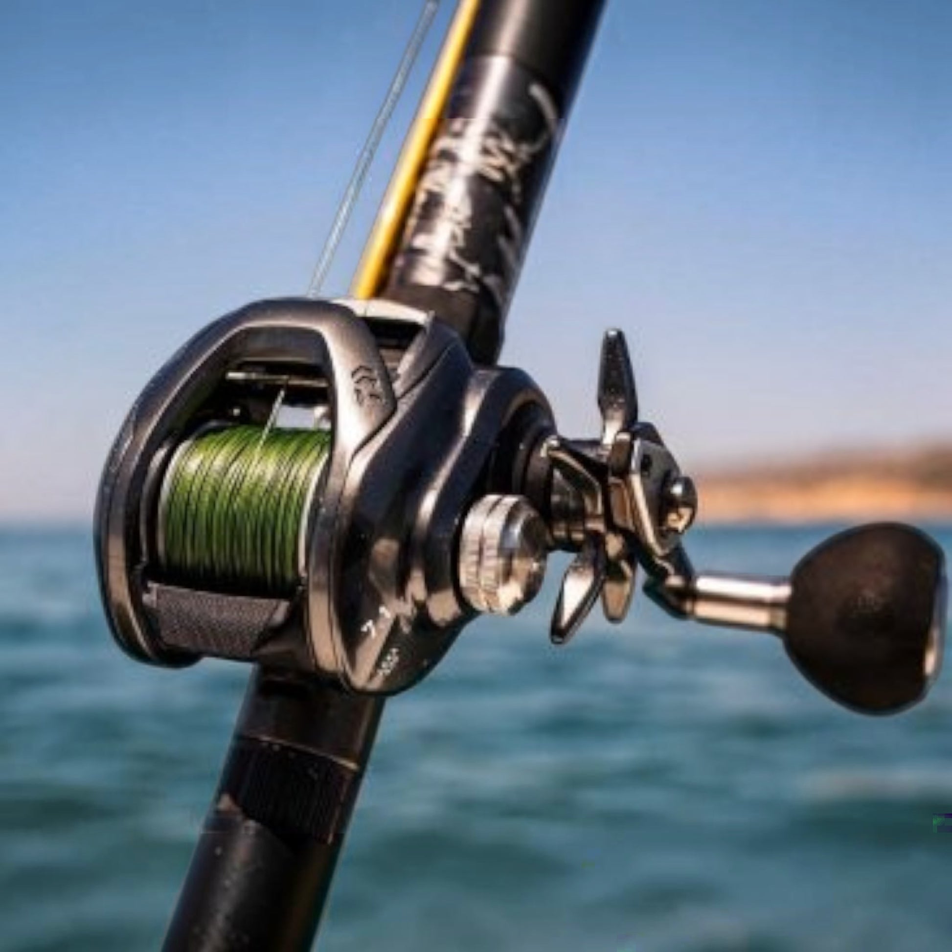 Daiwa Lexa TW Baitcasting Reels - Dogfish Tackle & Marine