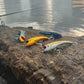 Nomad Maverick 90 AT Suspending 3-1/2" Saltwater Jerkbait - Dogfish Tackle & Marine