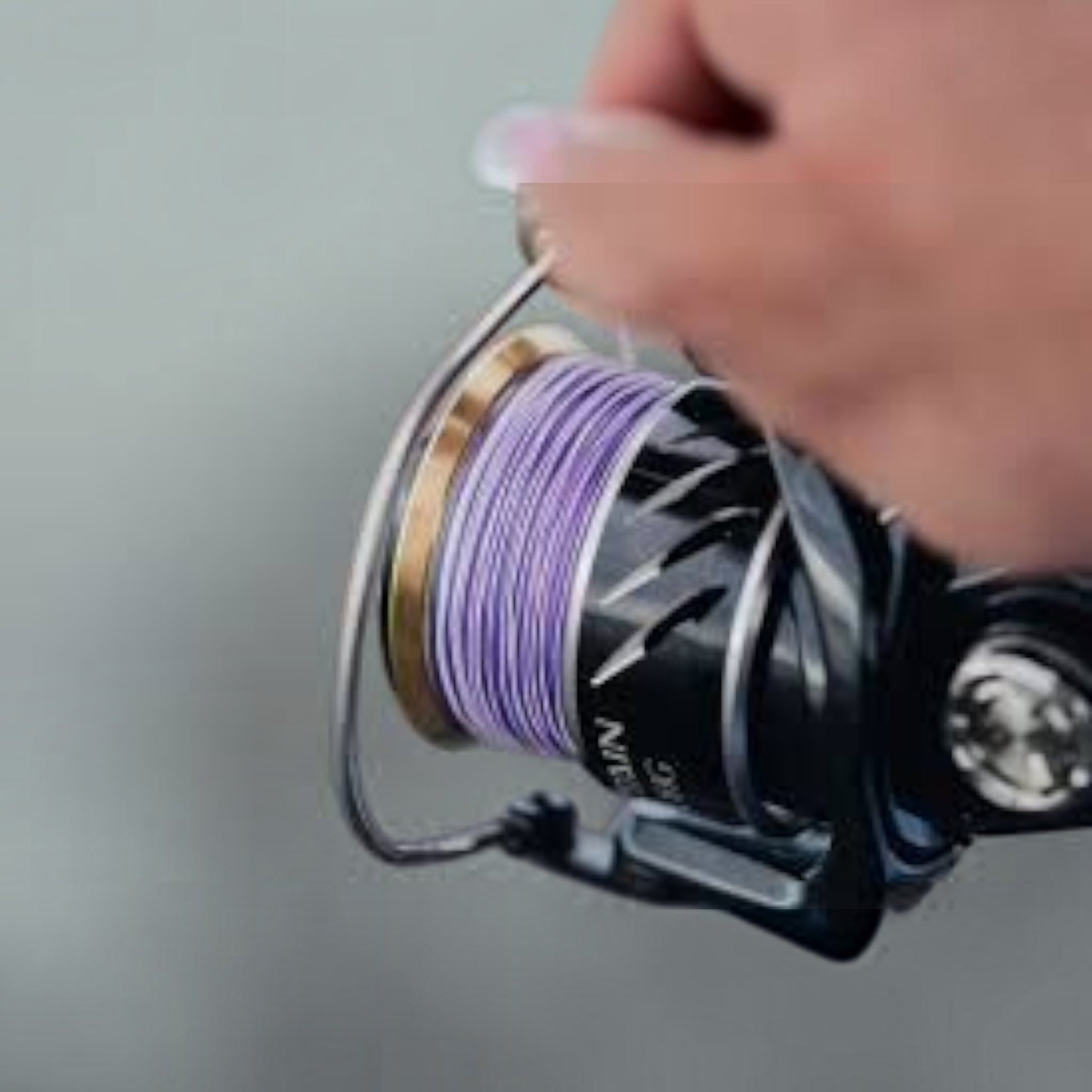 Nomad Panderra Multi-color 8x Braid - Dogfish Tackle & Marine