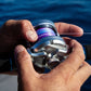 Nomad Panderra Multi-color 8x Braid - Dogfish Tackle & Marine