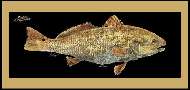 Realfish Indoor/Outdoor Floor Mats