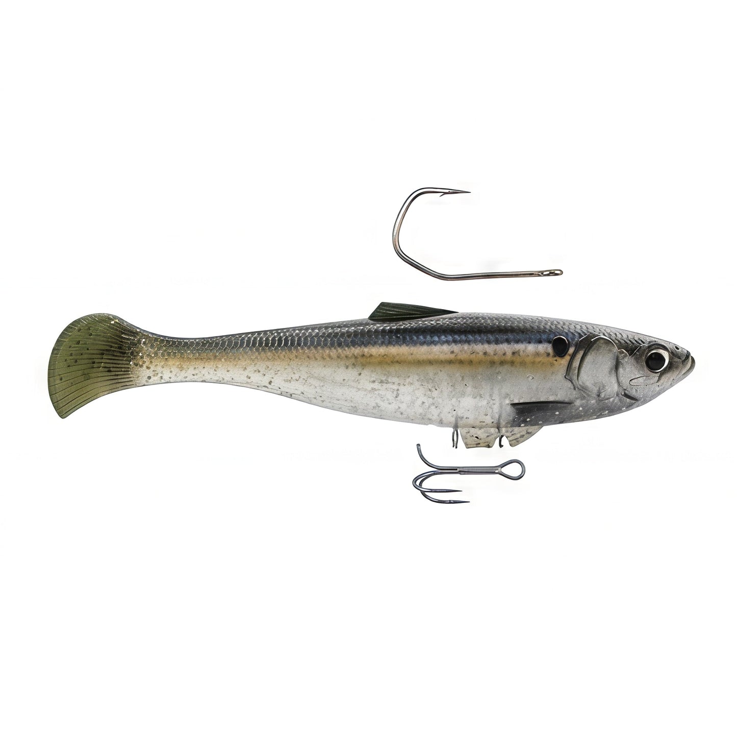 Z-man Swag LT Swimbaits - Dogfish Tackle & Marine